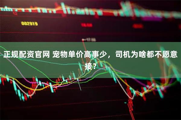 正规配资官网 宠物单价高事少，司机为啥都不愿意接？